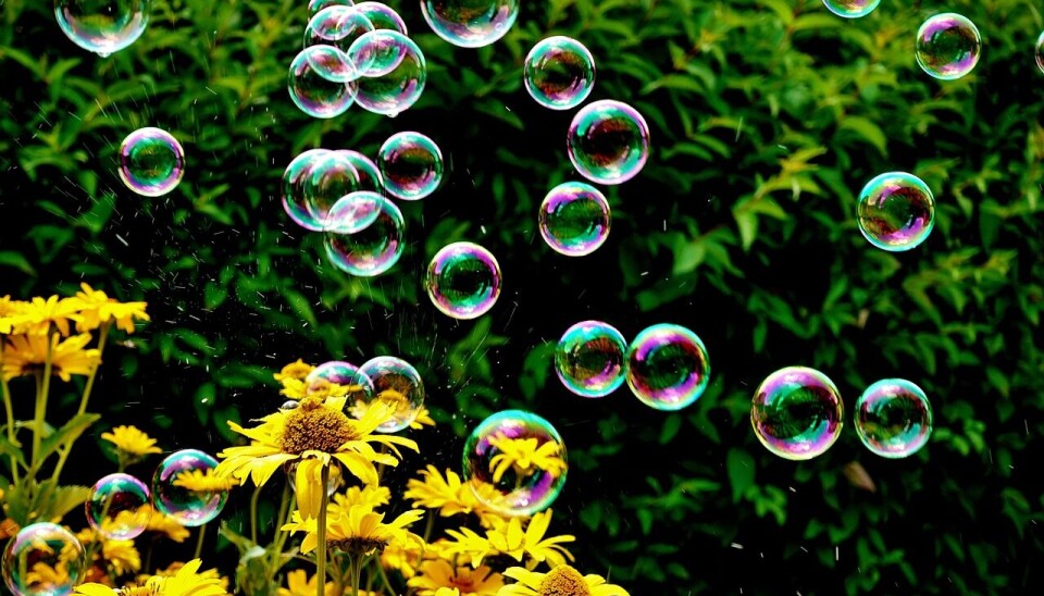 soap bubbles, nature, flowers, garden, meadow, flower wallpaper, garden, garden, flower background, garden, beautiful flowers, garden, garden