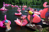 Des participants en costumes gonflables roses lors de la Flamingo Party à Rosport, le 18 juillet 2026.