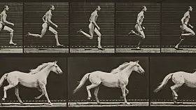 A sequence of monochrome photographs showing a horse galloping from left to right.
